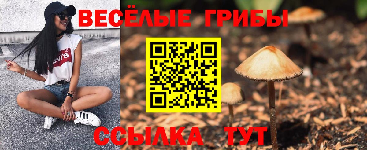 Новоалтайск  наркотики  Вход с VPN  Псилоцибиновые грибы Psilocybine cubensis  Галлюциногенные грибы прущие грибы 