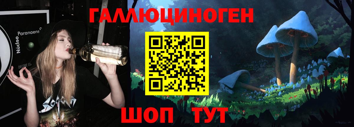 MDMA  Вход с VPN  Alpha PVP СК   Новоалтайск  Гашиш  Купить  NBOMe  ГАШ  МЕФ кристаллы 